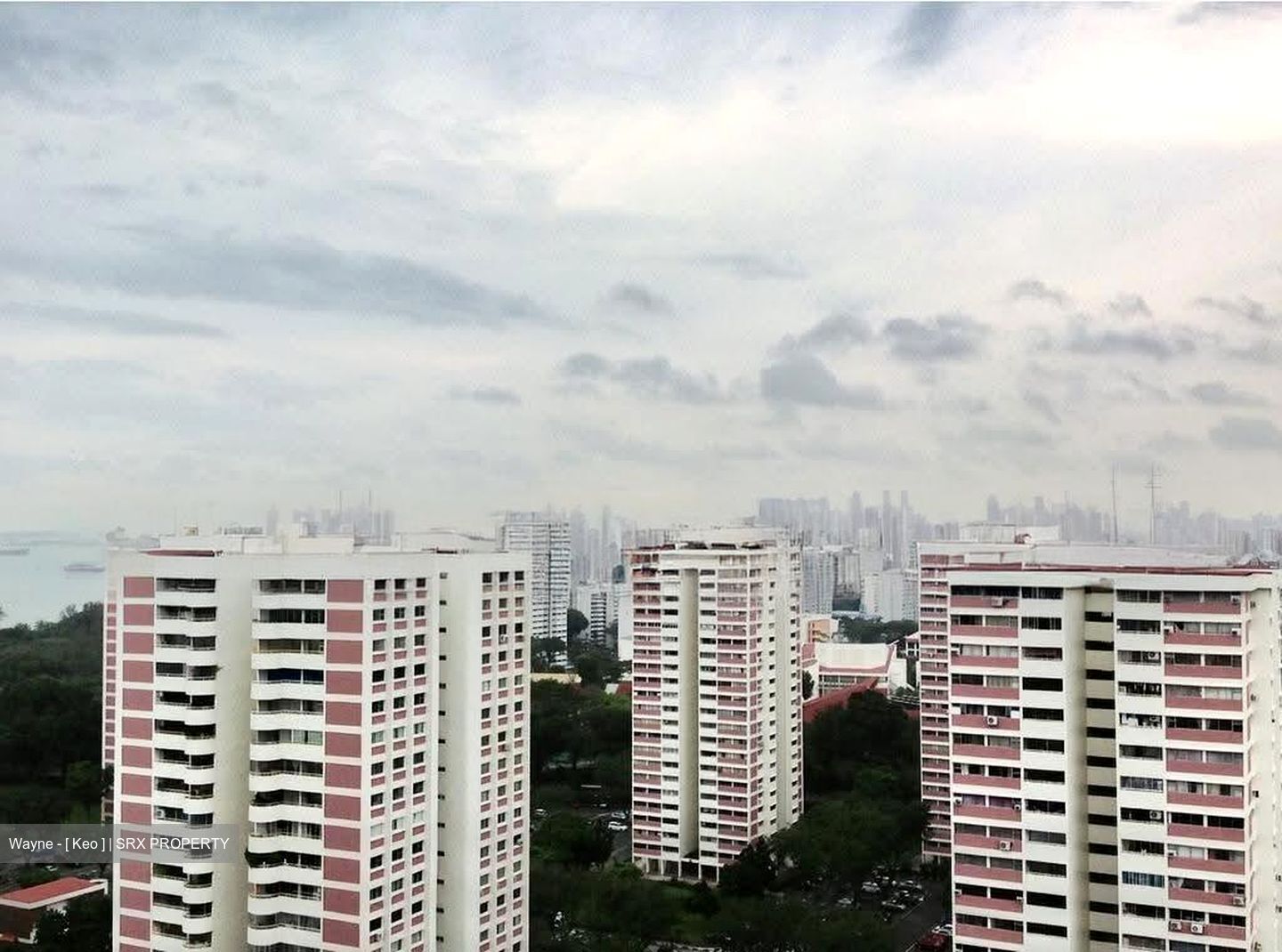 Mandarin Gardens (D15), Condominium #634539441